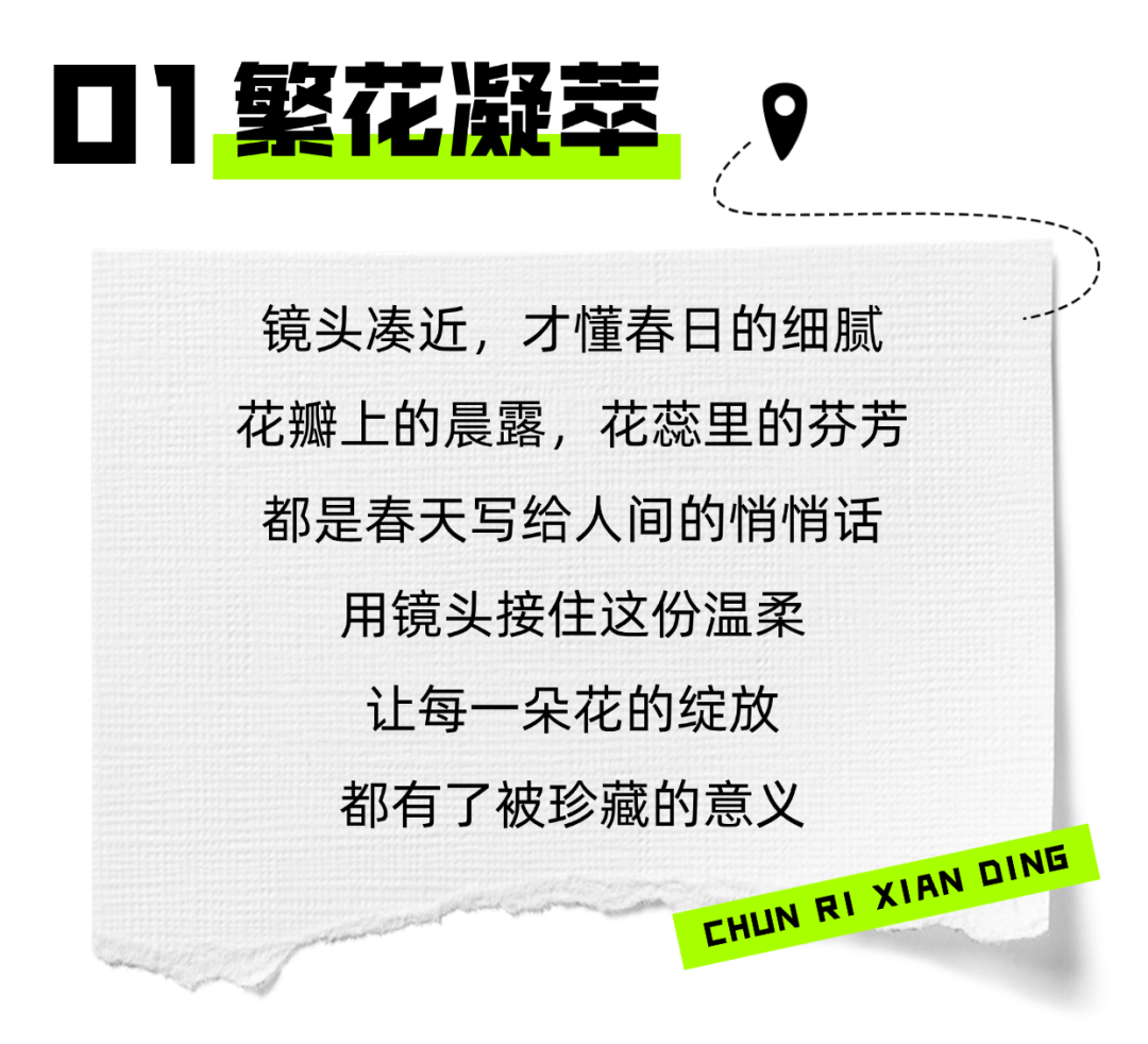 微信图片_2026-04-03_120622_827.png