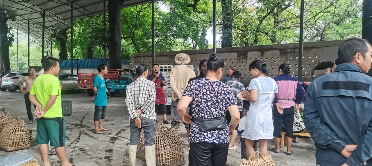 微信图片_20250702101050.jpg