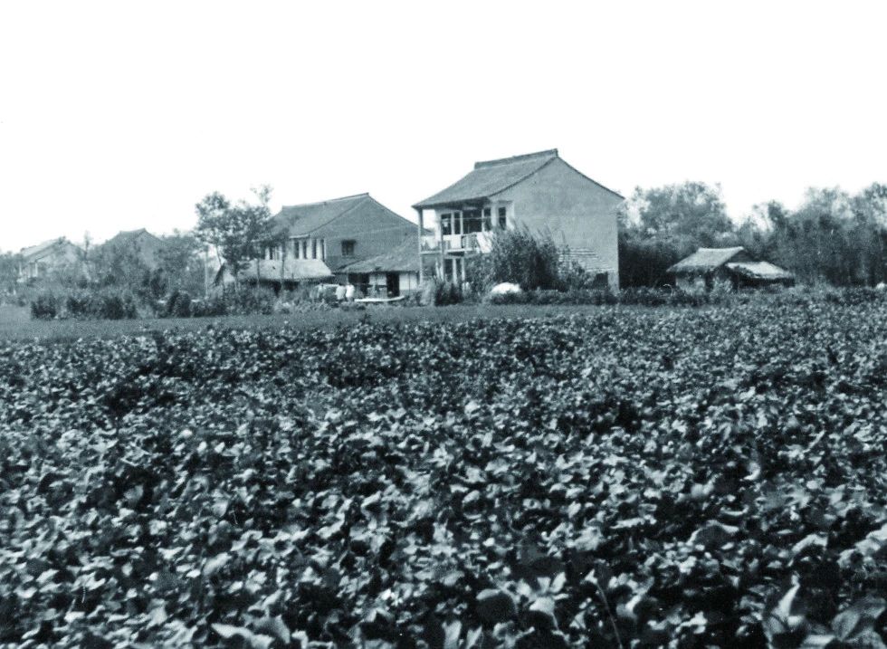 微信图片_2025-08-27_140257_089.jpg