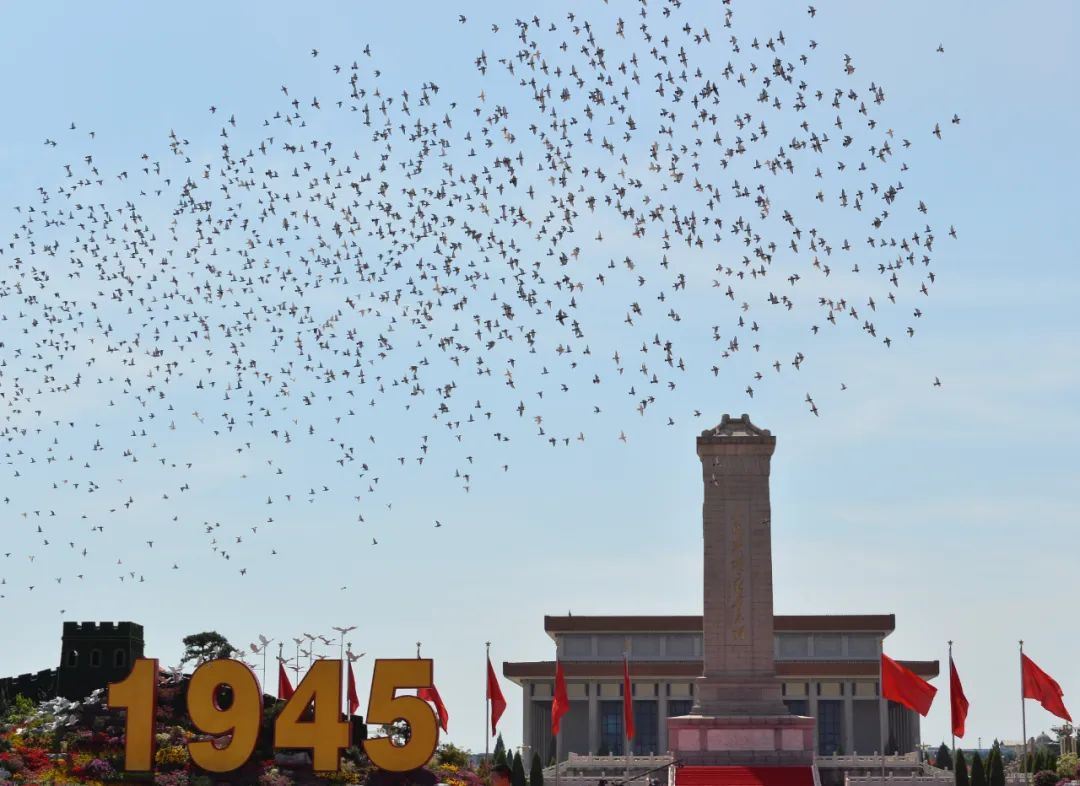 微信图片_20240903092020.png
