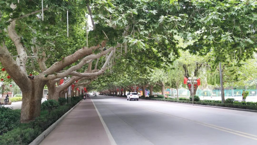 微信图片_20200730102725