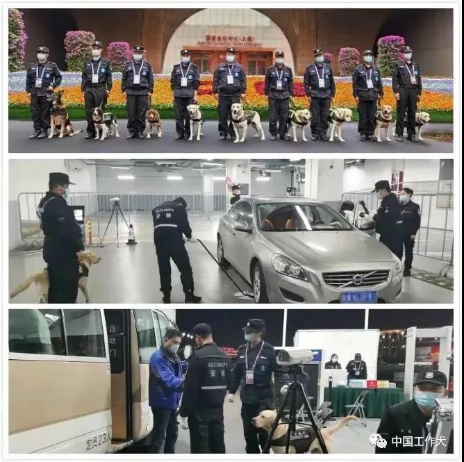 微信图片_20210118093414.jpg