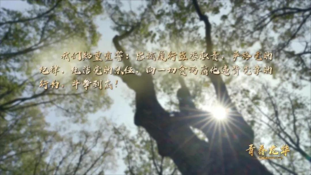 微信图片_20210825104640.jpg
