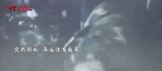 微信图片_20230515110949.gif