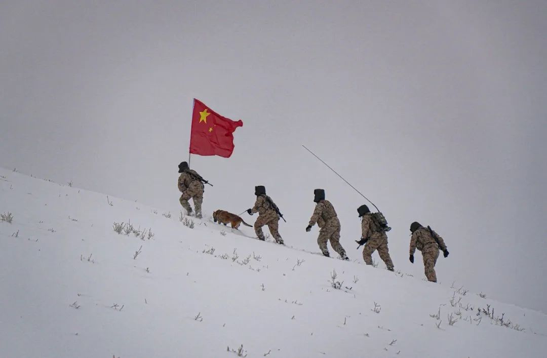 你那里雪停了吗？这些照片被网友称为最美雪景！ 媒体报道 上海市退役军人事务局