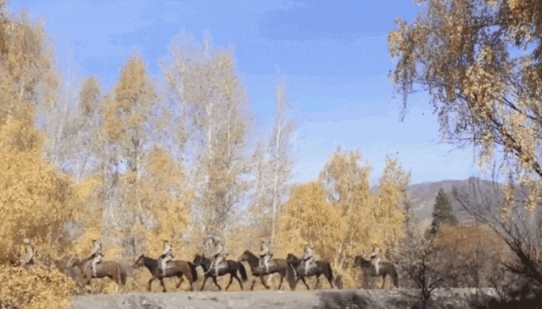 微信截图_20240222102911.png